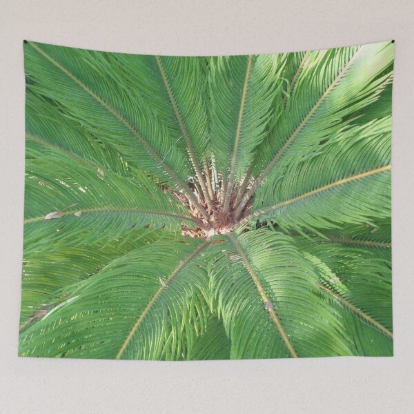 Item preview, Heart of a fine green palm tree in Morocco designed and sold by EstelleRossetti.