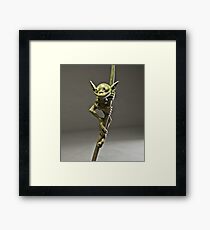 Amazon Goblin Framed Print