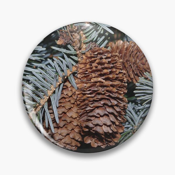 Item preview, Spruce Cones And Branches designed and sold by rvjames.