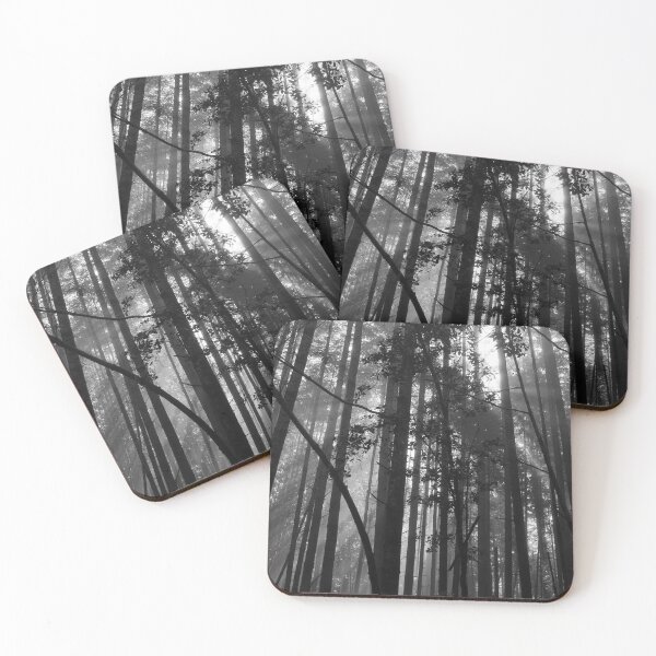 Item preview, Sun Lit Forest designed and sold by Rebecca Lefferts.