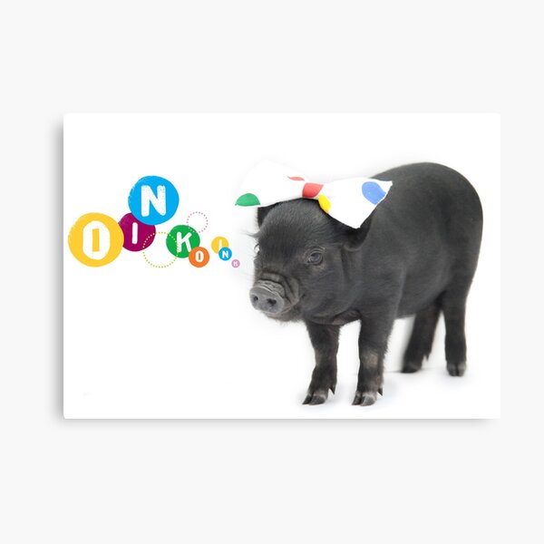 Item preview, Pretty black female micro pig with bow designed and sold by petpiggies.