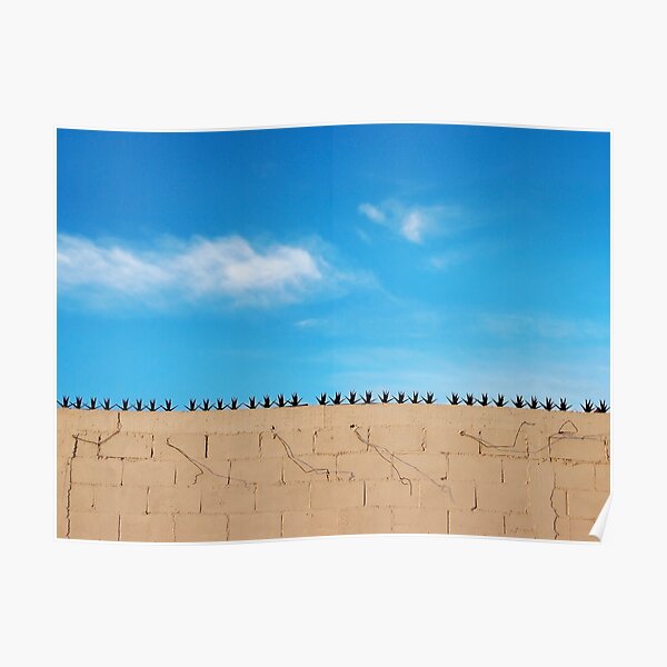 Prickly Wall Poster