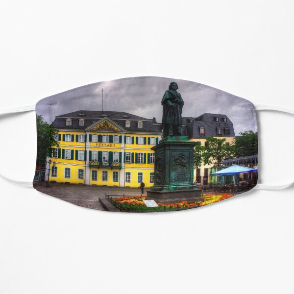 Central Post Office and Beethoven Memorial in Bonn Flat Mask