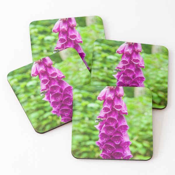 Item preview, A foxglove plant with bee early summer. I LOVE the colour of foxgloves and to have a bee arrive too!  designed and sold by Cameranick.