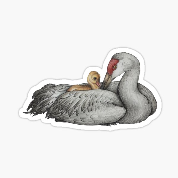 Item preview, Sandhill Crane and Baby by Tigereye Art Studio designed and sold by TigereyeAS.