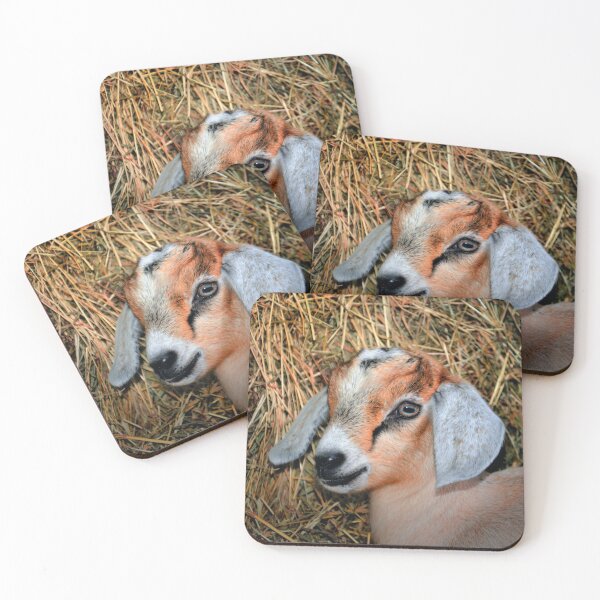 Item preview, Cabrito designed and sold by Savannah Gibbs.