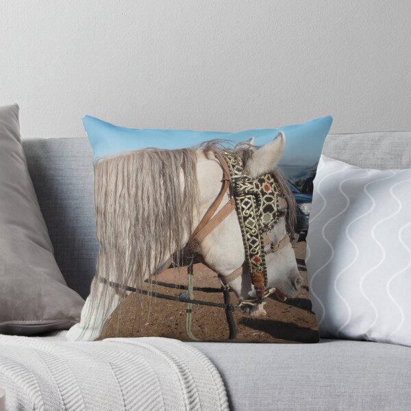 Aperçu de l'œuvre Cheval marocain la bouche ouverte créée et vendue par EstelleRossetti.