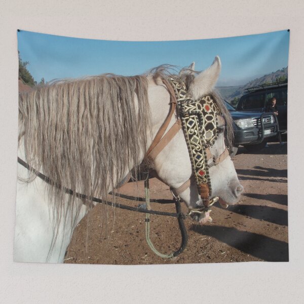 Artikelvorschau, Moroccan horse with open mouth entworfen und verkauft von EstelleRossetti.