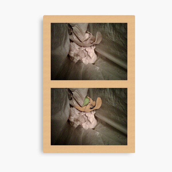 Troll Face in Trash Canvas Print
