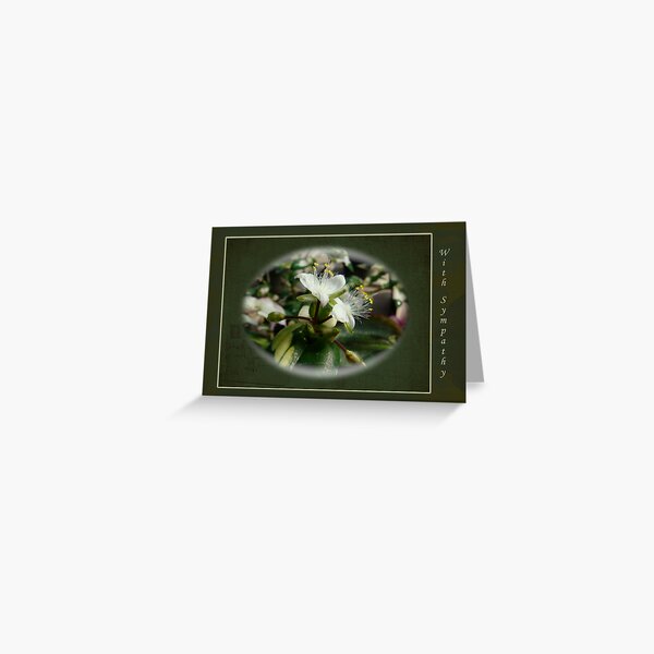 Item preview, Sympathy Greeting Card - Elegant Floral Green and White designed and sold by MotherNature2.