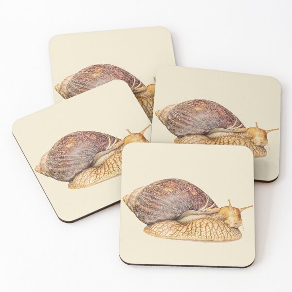 Item preview, Achatina snail isolated on white background with shadow. designed and sold by IaroslavB.