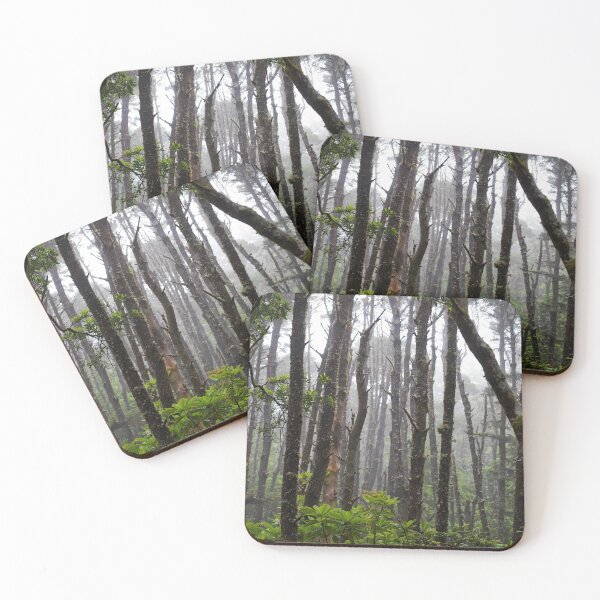Item preview, Misty Coastal Forest  designed and sold by Rebecca Lefferts.
