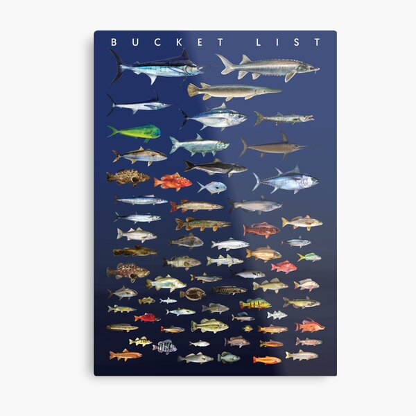 Fishing Poster Bucket List Metal Print for Sale by William Lee