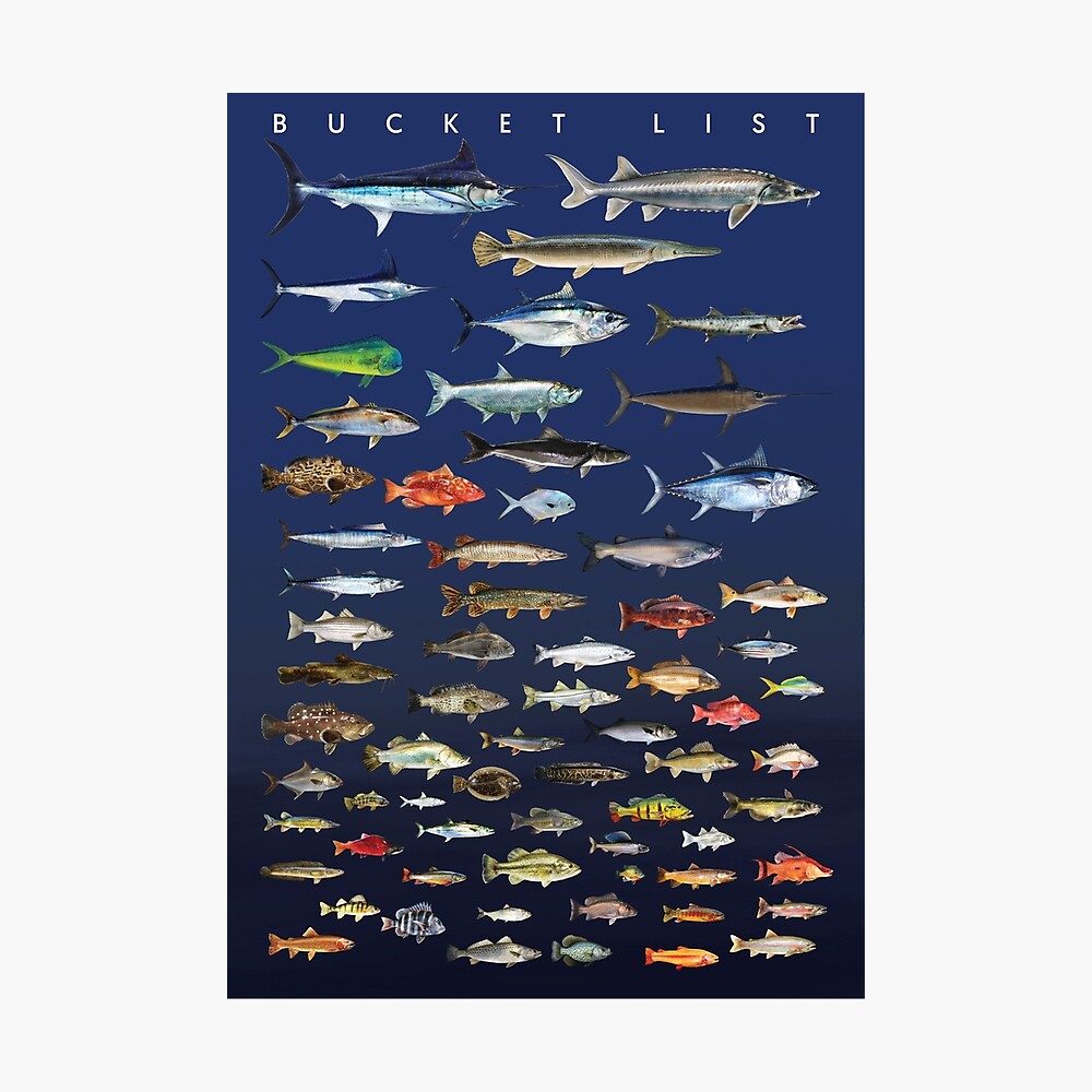 Fishing Poster Bucket List Poster for Sale by William Lee