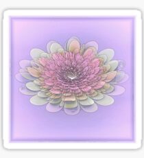Softness Sticker