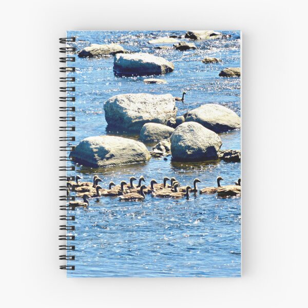 Item preview, A flotilla of geese designed and sold by Shulie1.