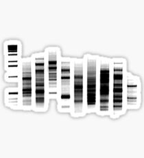 DNA Gel Sticker
