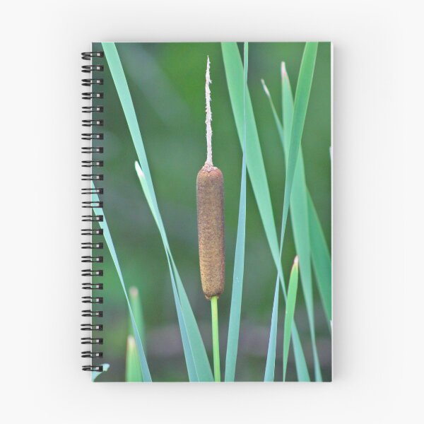 Item preview, A Lone Cattail designed and sold by Middy's Art.