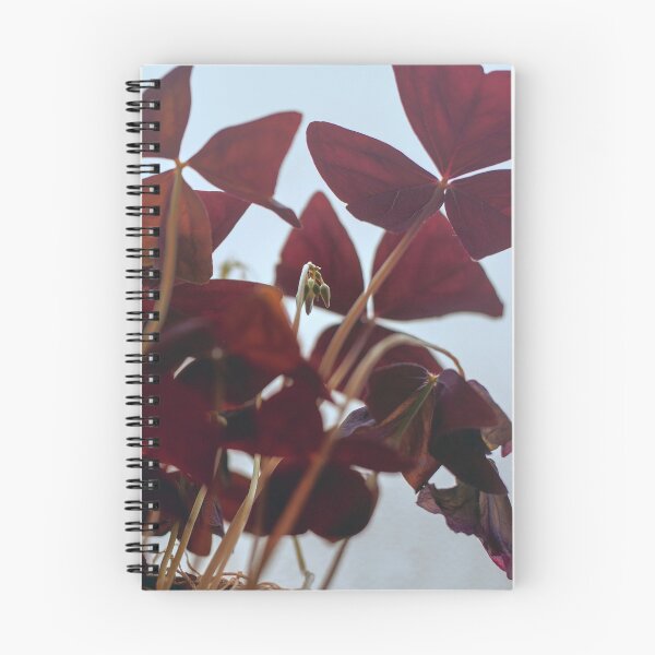 Item preview, Oxalis designed and sold by bunlinked.