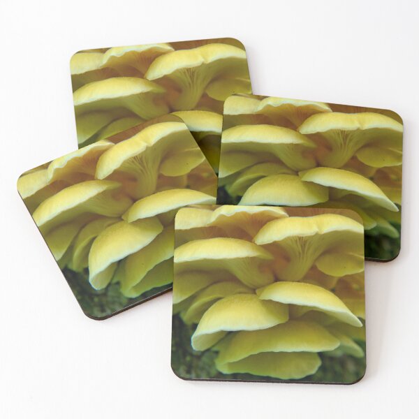 Item preview, Yellow Oyster Mushrooms designed and sold by LynyrdSky.