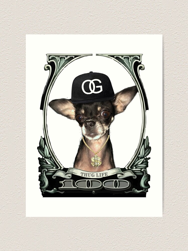 Thug Life Chihuahua Art Print