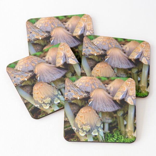 Item preview, Shaggy Mushrooms designed and sold by LynyrdSky.