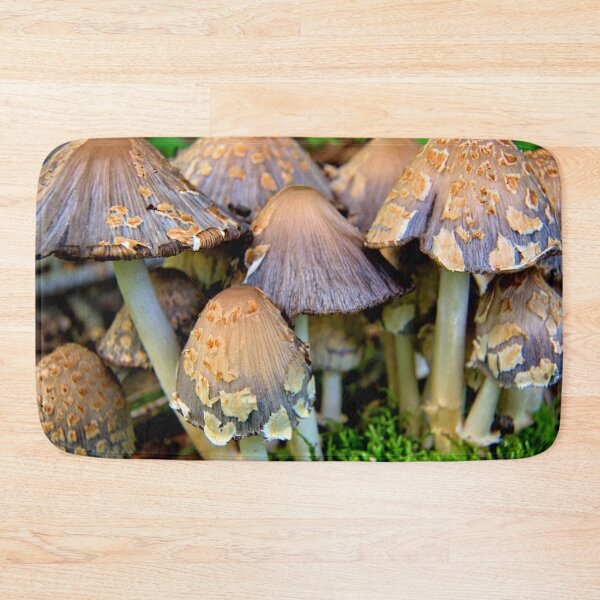 Item preview, Shaggy Mushrooms designed and sold by LynyrdSky.