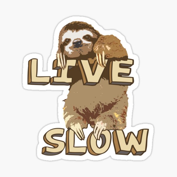 Cute Sloth - LIVE SLOW Sticker