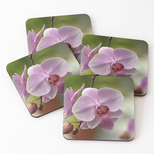 Item preview, Soft Pink Orchid designed and sold by ReneeKennedy.