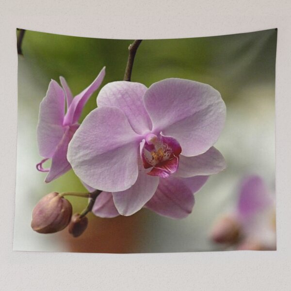 Item preview, Soft Pink Orchid designed and sold by ReneeKennedy.