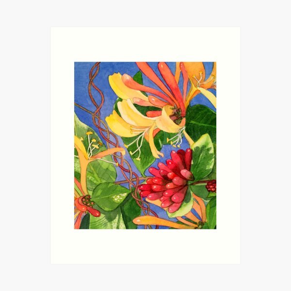 Trumpets of Honey, trumpet honeysuckle, Canvas print cheapest