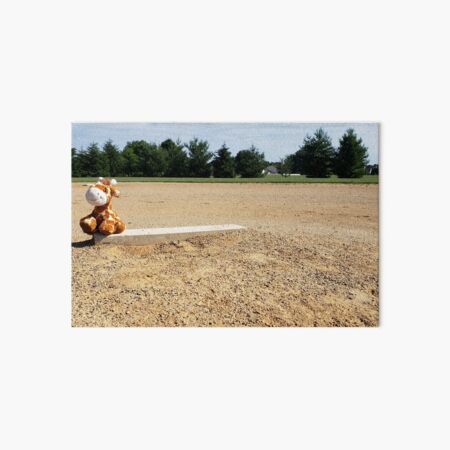 sophie the giraffe farmers