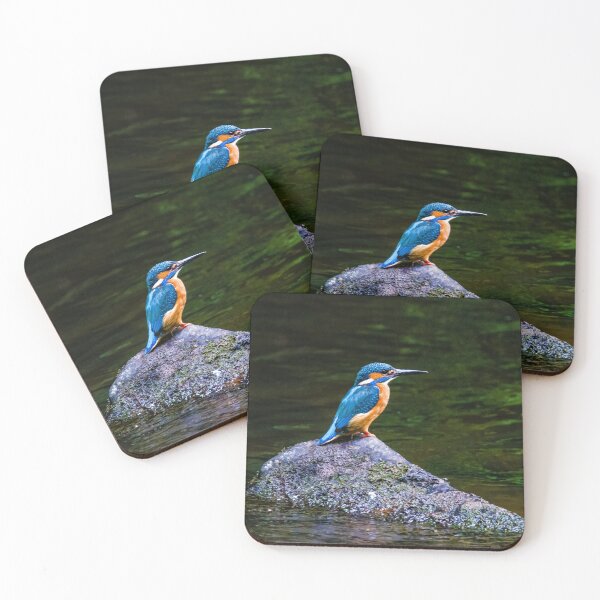 Item preview, Kingfisher designed and sold by Gary Chadbond Photography.