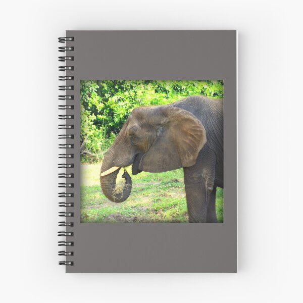 Item preview, Close Up of Elephant Eating Grass designed and sold by anitahiltz.
