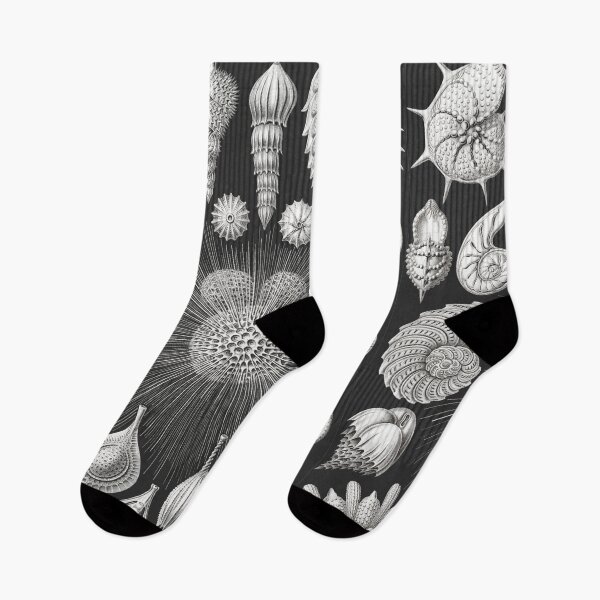 Item preview, urchin designed and sold by Youmytype.