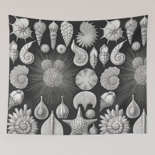 Item preview, urchin designed and sold by Youmytype.