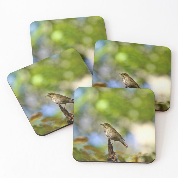 Item preview, Vibrant designed and sold by mfsphotographs.