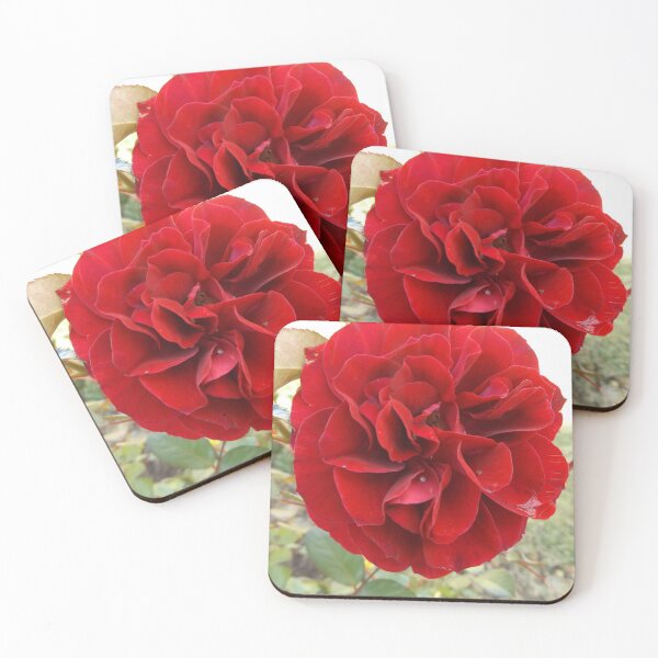 Item preview, Red Rose designed and sold by This and That.