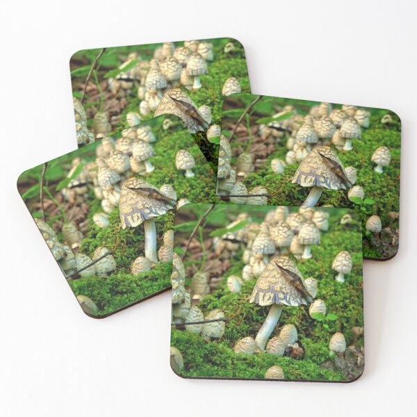 Item preview, Shaggy Colony designed and sold by LynyrdSky.