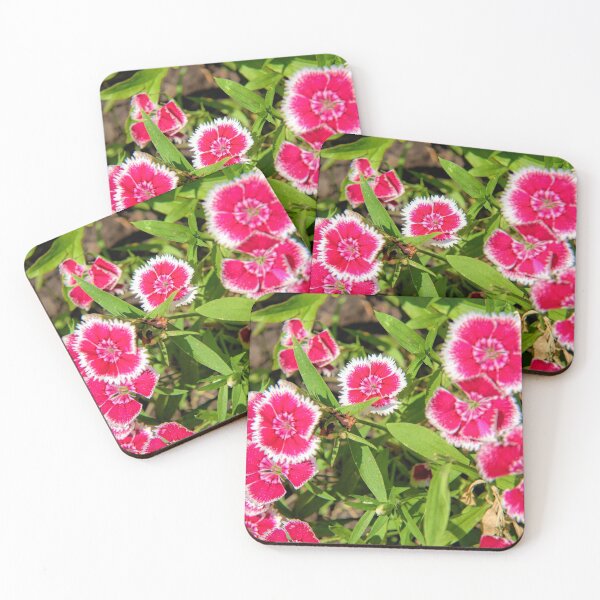 Item preview, Sweet Williams 2 designed and sold by LynyrdSky.