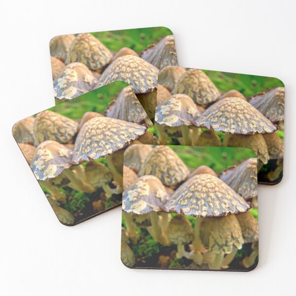 Item preview, Shaggy Mushrooms 3 designed and sold by LynyrdSky.