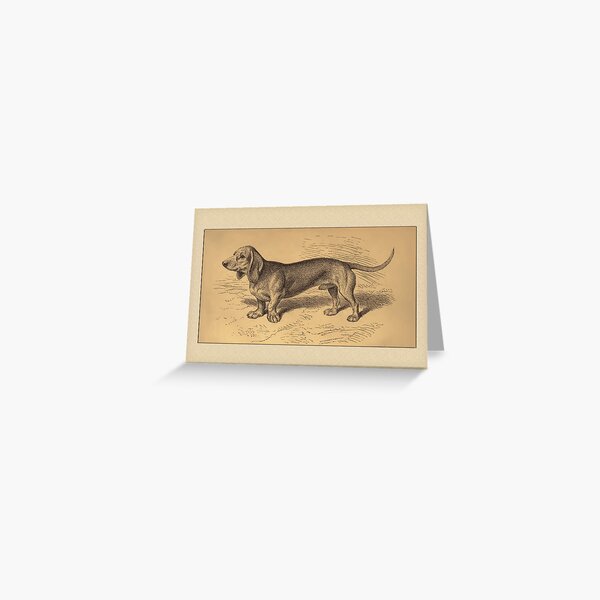 Item preview, Dashchund General Greeting designed and sold by Yesteryears.