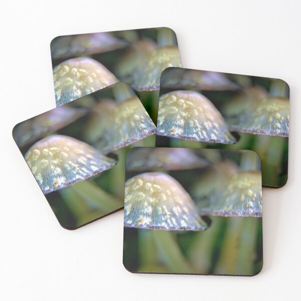Item preview, Shaggy Mann designed and sold by LynyrdSky.