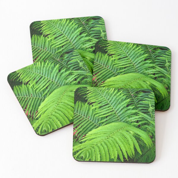 Item preview, Forest Frond designed and sold by LynyrdSky.