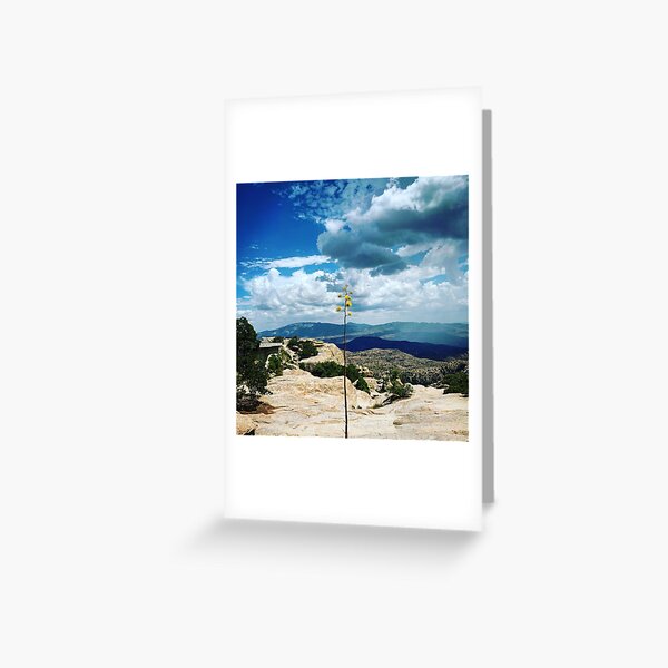 Mount Lemmon vista Greeting Card