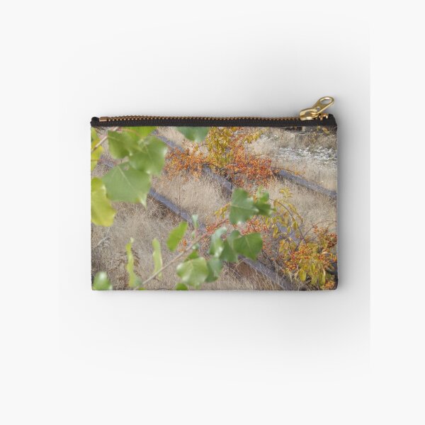 Item preview, Late Autumn Colors and Foliage, High Line, New York City's Elevated Garden and Park  designed and sold by lenspiro.