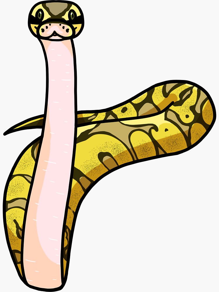 "Rocky the Ball Python Scoping" Sticker for Sale by Galactichem | Redbubble