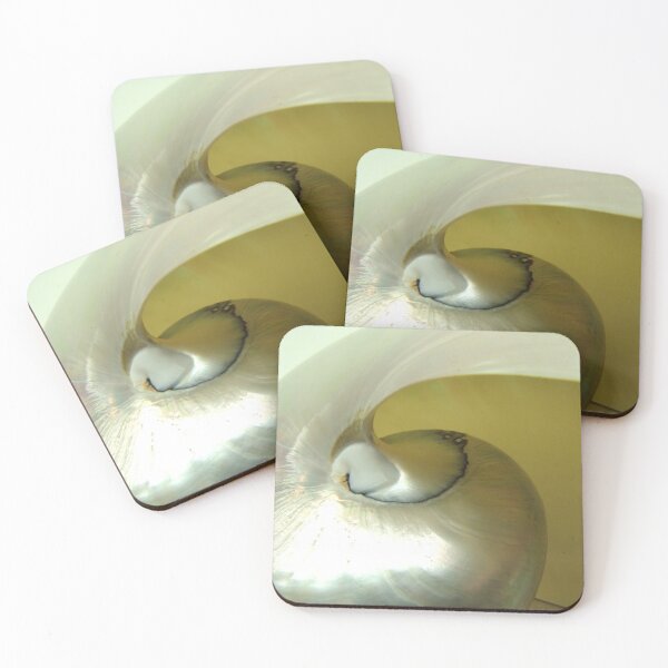Item preview, PRETTY BEACH SHELL #4 designed and sold by John N.  Stewart.
