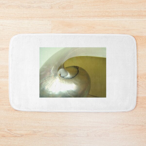 Item preview, PRETTY BEACH SHELL #4 designed and sold by John N.  Stewart.