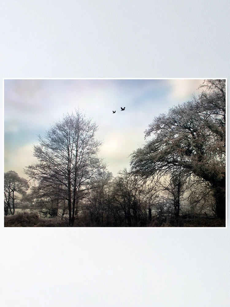 Imagen 1 de 3, Póster con la obra Tree Line, diseñada y vendida por Simons41.